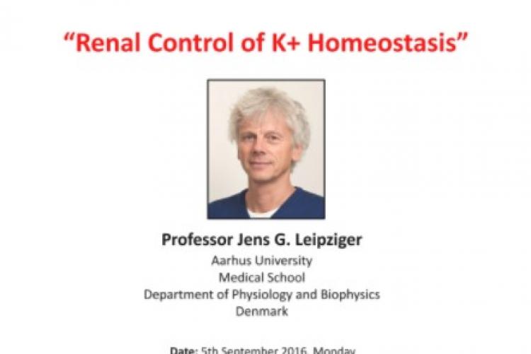 Renal Control of K+ Homeostasis, September 2016