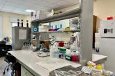 Biyofizik Laboratuvarı